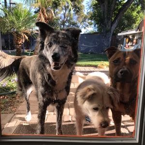 Meet your Posher, Ericka